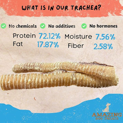 Amazing Dog Treats - 12 Inch Beef Trachea Chews for Dogs (10 pcs/pk) - 100% Natural Trachea Dog Treats - Excellent Source of Glucosamine - Natural Long Lasting Treats
