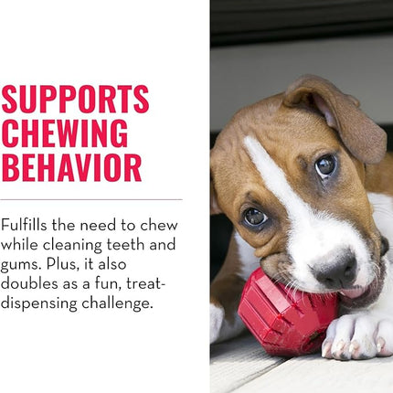 KONG Stuff-A-Ball - Durable Chew Toy for Dogs - Natural Rubber Dog Toy for Dental Health - Pet Toy for Chewing & Teeth Cleaning - Stuffable Toy for Dog Treats & Snacks - for Medium Dogs