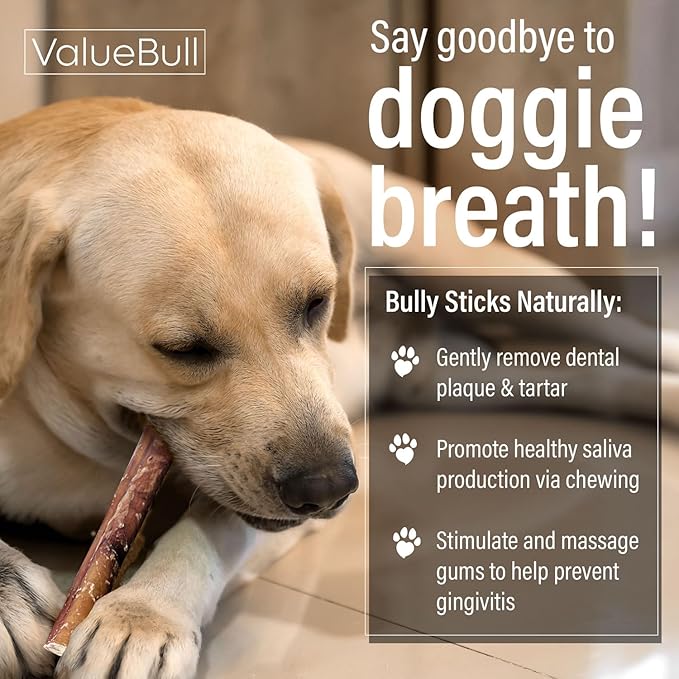 ValueBull Bully Sticks for Small Dogs, Thin 6 Inch, 100 Count Bulk Pack - All Natural, Grass Fed, Single Ingredient, Long Lasting Dog Treats