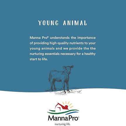 Manna Pro Bounce Back Supplement | Multi-Species Electrolyte | 4 oz