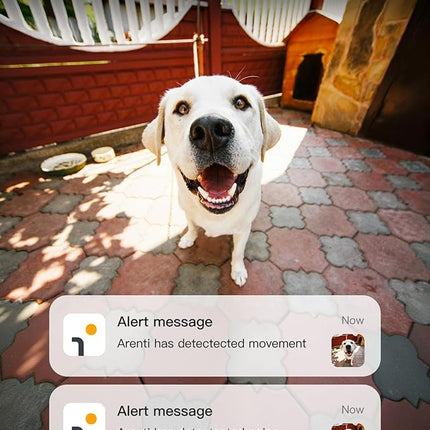 ARENTI 5G Indoor Security Camera 2 Pack, 4MP Pet Camera with Speaker for Dog/Cat, Baby Monitor with Phone App, Dual-Band WiFi, Auto Tracking, Super Night Vision, 64G Local Storage (P2Q 64G 2PC)