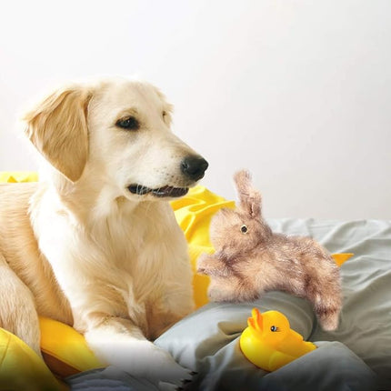 ALL FOR PAWS Brown Rabbit Pet Plush Toys, Dog Squeaker Toy, Large