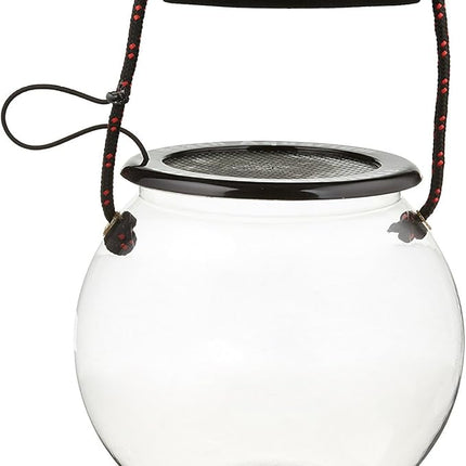 Dry Branch Sports Design Catch and Release Beach Aquarium Kit , Clear