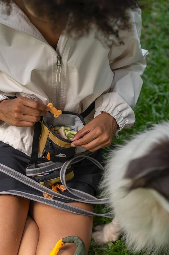 OllyDog Goodie Treat Bag, Dog Treat Pouch, Waist Belt Clip for Hands-Free Training, Magnetic Closure, Dog Training and Behavior Aids, Three Ways to Wear (Antelope)