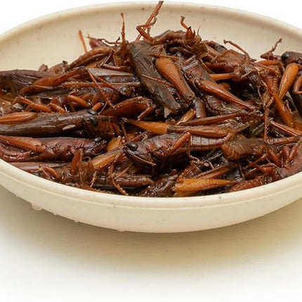 6 Pack Canned Small Grasshoppers for Reptiles, Fish, Birds and Small Animals, Grasshoppers, Healthy High Protein Treat, Bearded Dragon Food 1.2 Ounces Each
