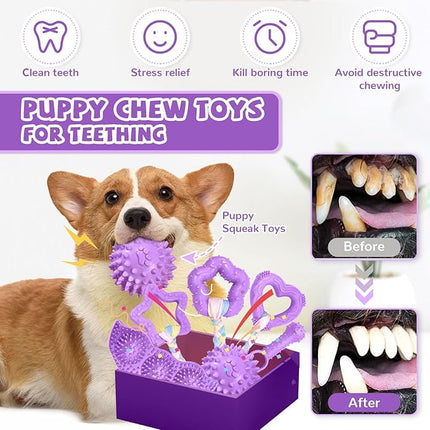 6 Pack Puppy Teething Toys Cute Small Dog Toys Durable Puppy Chew Toy for Teething Essentials Purple Soft Rubber Small Breed Dog Squeaky Balls for Puppies Interactive Doggy Chews Toy Set