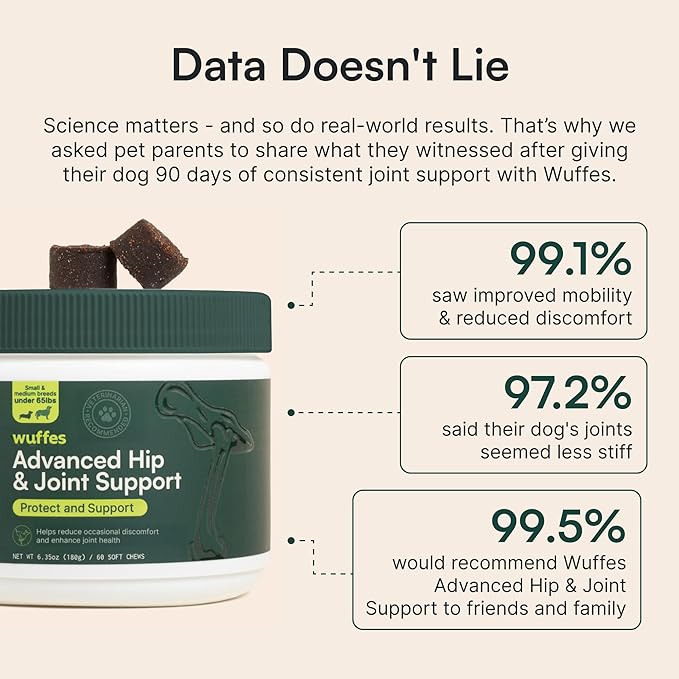 Wuffes Advanced Dog Hip and Joint Supplement with Glucosamine, Chondroitin, Omega 3, MSM, and Green Lipped Mussel, 60 Pork Flavored Chews for Small and Medium Dog Breeds