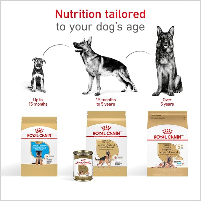 Royal Canin Breed Health Nutrition German Shepherd Adult Dry Dog Food, 30 lb Bag