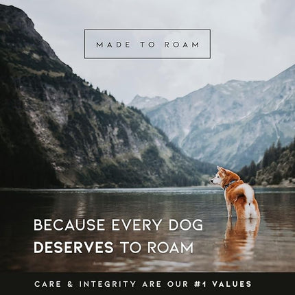 Made to ROAM Premium Dog Collar - Adjustable Heavy Duty Nylon Collar with Quick-Release Metal Buckle (Oregon Haze, Classic Size 1)