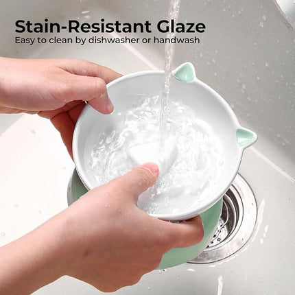 Y YHY Slow Feeder Cat Bowl, Ceramic Elevated Cat Bowl Tilted Design Slow Feeder for Dog and Cat for Dry and Wet Food, Green