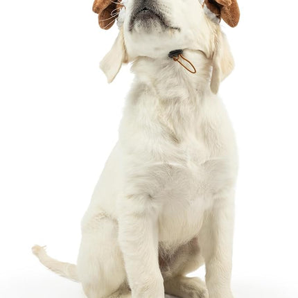 Huxley & Kent Pet Hat | Turkey Tester (Small) | Fun Thanksgiving Holiday Hat for Dogs/Cats | Cute, Comfortable and Fun | SnugFit Strings for Best Fit