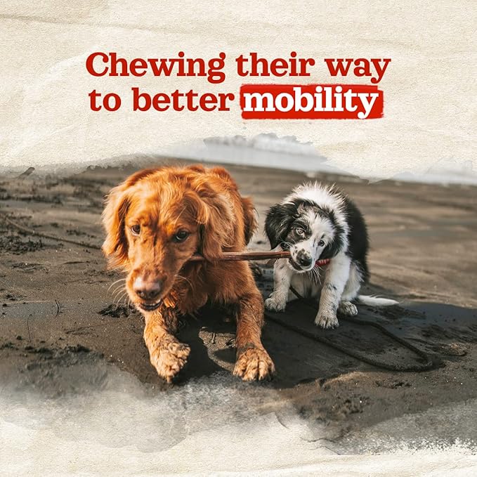 Natural Farm Collagen Chews. 6 Inch, 10 Pack. Odor-Free Long Lasting Bully Sticks & Rawhide Alternative Dog Treats, 95% Collagen Low Fat, High Protein Best Dental Dog Treats – Medium & Large Dogs