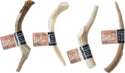 Amazon Brand - Wag Dog Deer Antler Chew, Naturally Shed, Whole, Large 8-9.5 inches, Long Lasting for Aggressive Chewers, Best for Dogs 30-45 lbs, 3.20 Ounce (Pack of 1)