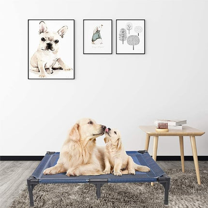 Suddus Elevated Dog Bed - Waterproof, Portable, Off The Floor, Easy Clean Indoor/Outdoor, Medium, Blue