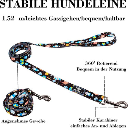 Roses&Poetry Dog Collar and Leash for Medium Large,Adjustable Durable Blue 5ft Puppy Leash Collar for Dog Training Lead（Star-L）