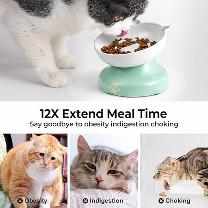 Y YHY Slow Feeder Cat Bowl, Ceramic Elevated Cat Bowl Tilted Design Slow Feeder for Dog and Cat for Dry and Wet Food, Green