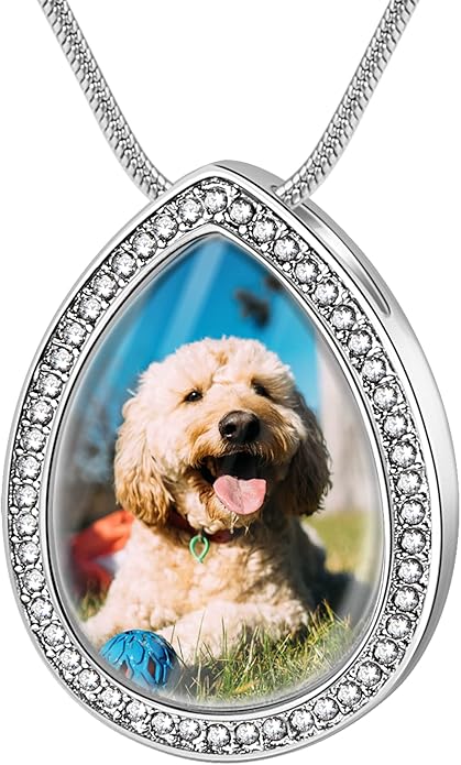 Farfume Personalized Pet Urn Necklace for Dog Cat Ashes Cremation Pet Memorial Customized Photo Text Engraving Pendant Keepsake Funeral Jewelry