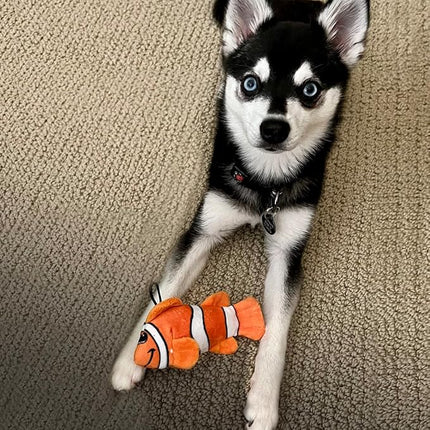 SmartPetLove Snuggle Puppy Tender-Tuffs Small Dog Toys - Orange Clownfish Dog Toy for Small Breeds with Puncture Resistant Squeaker