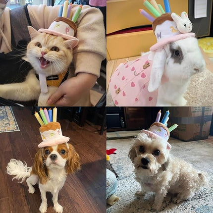LESYPET Dog Cat Birthday Hat, Cute Birthday Cake Hat with 4 Color Candles for Cats Dogs, Pet Birthday Supplies Party Apparel Accessory, Size L