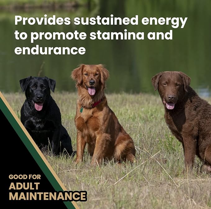 VICTOR Super Premium Dog Food – Performance Dry Dog Food from Beef, Chicken and Pork Meal – 26% Protein for Active Adult Dogs – Includes Glucosamine and Chondroitin for Hip and Joint Health, 40lbs