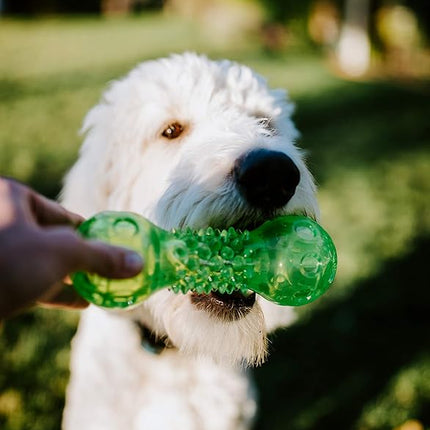 Hyper Pet Dura-Squeaks Barbell Interactive Fetch Dog Toy with Squeaker Made with Sturdy TPR That Floats in Water (Pack of 2)