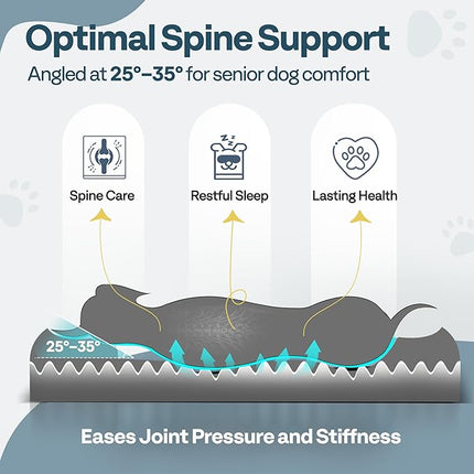 Large Orthopedic Dog Bed 36" Washable with Removable Cover, Waterproof & Non-Slip Base, Year-Round Comfort with Cooling/Warming, Dual-Layer Interior Padding for Support and Softness, Brown