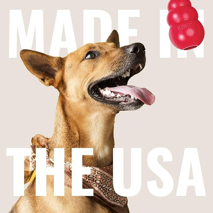 KONG Stuff-A-Ball - Durable Chew Toy for Dogs - Natural Rubber Dog Toy for Dental Health - Pet Toy for Chewing & Teeth Cleaning - Stuffable Toy for Dog Treats & Snacks - for Small Dogs