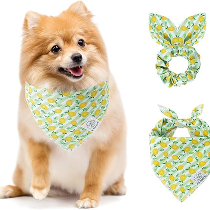 E-Clover Summer Lemon Dog Bandanas & Matching Scrunchie Set Green Stripe Dog Scarf Bibs Pet Bandana with Bow Tie for Small Dogs Puppy Owner Mom