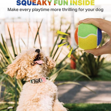 AMA SPORT Squeaky Balls for Dogs 2.5" Small Medium Dog Tennis Balls for Throwing and Fetching Dog Toys for Training, Exercise, High Bouncing 12 Pack Multicolor