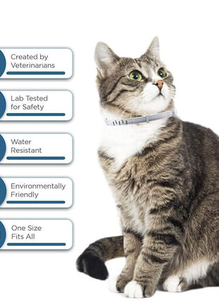 Cat Flea & Tick Collar - Premium Plant-Based Essential Oils, Waterproof, 6-Month Protection for Small Kittens, 1 Pack
