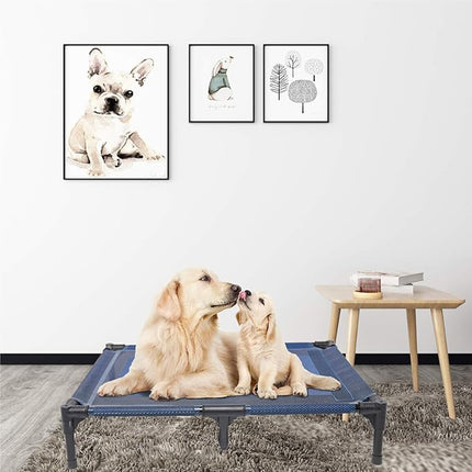 suddus Elevated Dog Bed for Medium Dogs, Dual Support Cooling Cot with Teslin Mesh, Portable Waterproof Pet Bed for Indoor/Outdoor Use, Large, 36x30x7 Inch, Blue