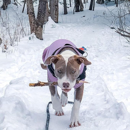 Gooby Stretch Fleece Vest Dog Sweater - Lavender, 4X-Large - Warm Pullover Super Stretchy Fleece Dog Jacket for Small to Large Dogs