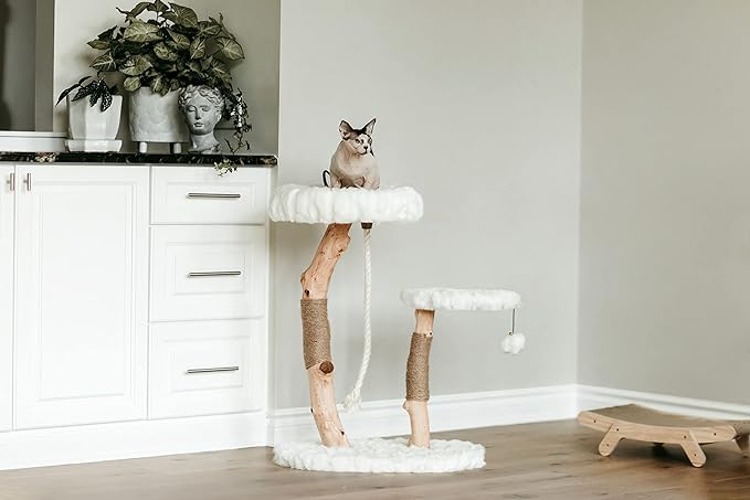 Mau Lifestyle Luxury Cat Tree: Modern Cat Condo & Luxury Wood Cat Tower; Natural Branch Scratching Tree & Cat Condo; Cat Gifts by Mau