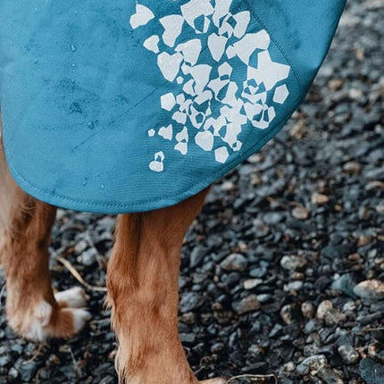 Hurtta Monsoon Coat, Dog Raincoat, Buckthorn, 14 in