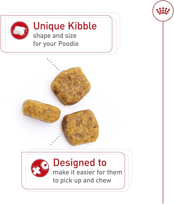 Royal Canin Breed Health Nutrition Poodle Adult Dry Dog Food, 10 lb Bag