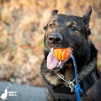 Nero Ball Pro K-9 Dog Training Ball on Rope – 2.75″ Heavy-Duty Natural Rubber Reward & Tug Toy with Nylon Throw Handle – High-Visibility Orange – Police, Military & Sport Working Dogs Fetch