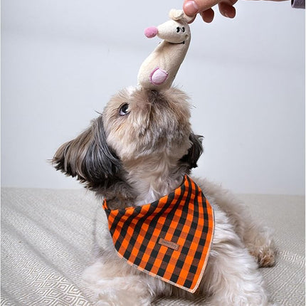 Lionheart Glory Soft Dog Scarf, Washable Fall Bib Scarf, Square Bandana for Small to Large Dogs, Boy & Girl, Halloween Theme