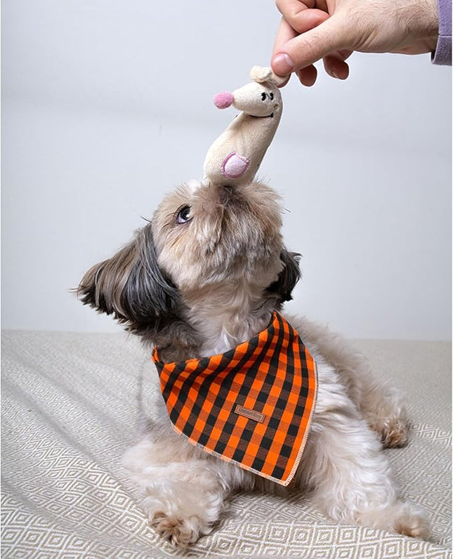 Lionheart glory Dog Bandana 1 Pack Washable Soft Dog Scarf, Fall Bib Scarf Boy Girl Bandanas Square Halloween Bandanas for Small Medium Large Dogs