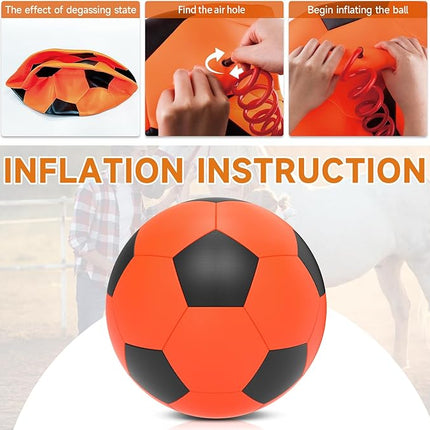 QDAN Herding Ball for Dogs, 25 inch Dog Balls, Giant Dog Toys Horse Toy, Herding Ball for Australian Shepherd, Orange