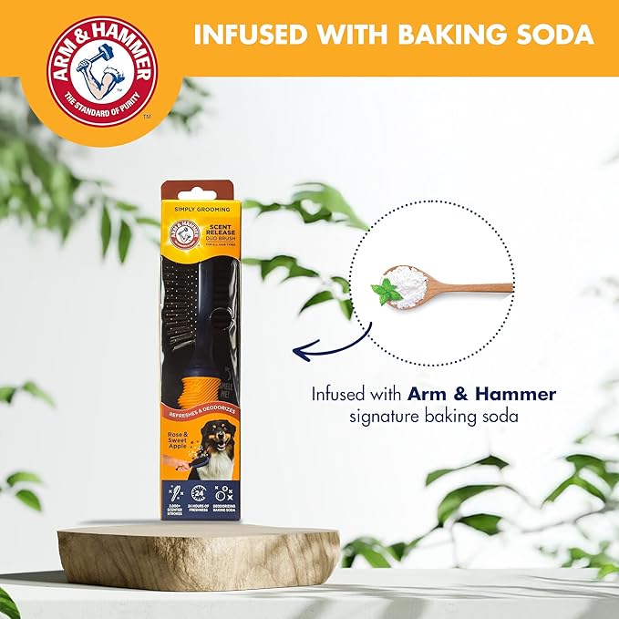 Arm & Hammer “Simply Glam” Dog Grooming Pin & Bristle Deodorizing Brush with Fragrance Transfer Technology – Scented 2-in-1 Brush for Detangling & Shedding, Sweet Apple & Rose Scent