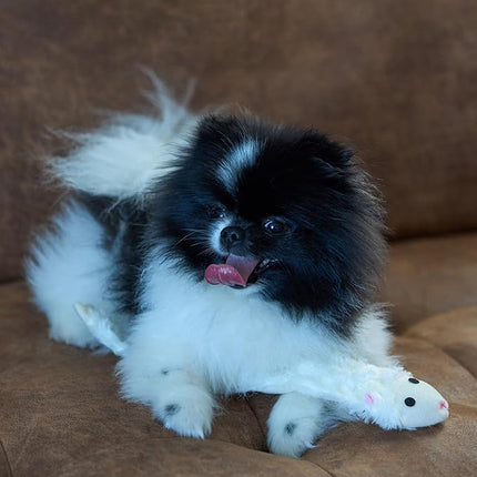 SPOT Skinneeez Crinklers Lamb - Stuffing-Free Dog Toy with Crinkle & Squeaker Sounds, Durable for Moderate Chewers, Tug Toy for Small Dogs & Puppies, 14in