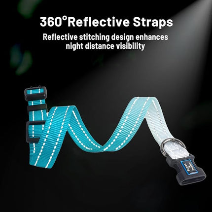 Roses&Poetry Small Dog Collar, Adjustable Personalized Durable Pet Collars for Small Medium Large Dogs (Teal-S)