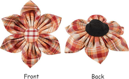 Lionet Paws Fall Dog Collar with Orange Flower, Plastic Buckle for Puppy Small Dog Girl Female Halloween Thanksgiving Day Gift,M,13.5-22 in