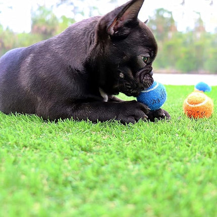 Midlee X-Small Dog Tennis Balls 1.5" Pack of 12 (Solid, 1.5 inch)