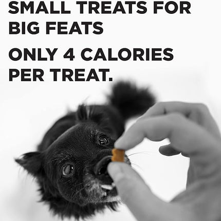 BIXBI Liberty Trainers, Bacon (12.5 oz, 1 Pouch) - Small Training Treats for Dogs - Low Calorie and Grain Free Dog Treats, Flavorful Pocket Size Healthy and All Natural Dog Treats