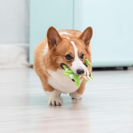 STAR WARS Dog Toy Yoda Plush Flattie Dog Toy - Officially Licensed - Small Soft Stuffingless Crinkle Chew Toys for All Dogs, 6 Inch