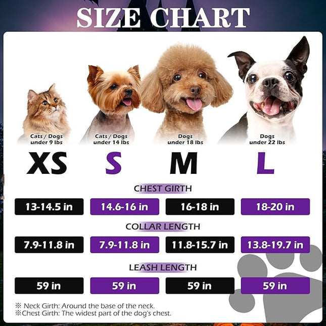 EXPAWLORER Halloween Puppy Harness - Dog Collar and Leash - Soft Mesh Padded Adjustable Step in Small Dog Vest Harness No Pull, Reflective Escape Proof for Outdoor Walking, Purple S
