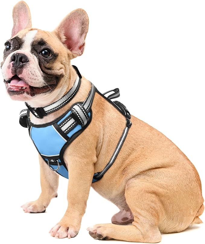 WINSEE Dog Harness No Pull, Pet Harnesses with Dog Collar, Adjustable Reflective Oxford Outdoor Vest, Front/Back Leash Clips for Small, Medium, Large, Extra Large Dogs, Easy Control Handle for Walking