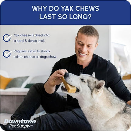 Downtown Pet Supply Yak Cheese Himalayan Dog Chews - Large Yak Chews Rich in Nutrients for Medium to Large Dogs - Long Lasting, Odorless and Easy to Digest Cheese Dog Treats - 1 LB