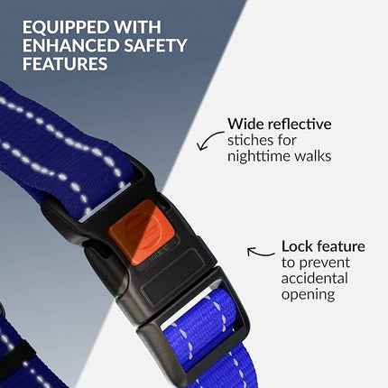 CollarDirect Martingale Dog Collar with Stainless Steel Chain and Quick Release Buckle - Reflective Collar for Large, Medium, Small Dogs - Blue, Small (Neck Size 12"-15")